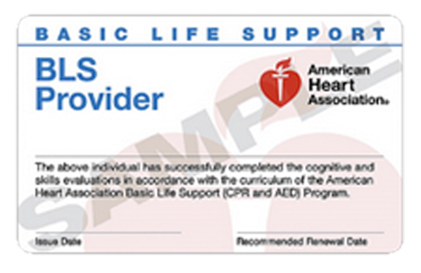 BLS Basic Life Support for the Healthcare Provider