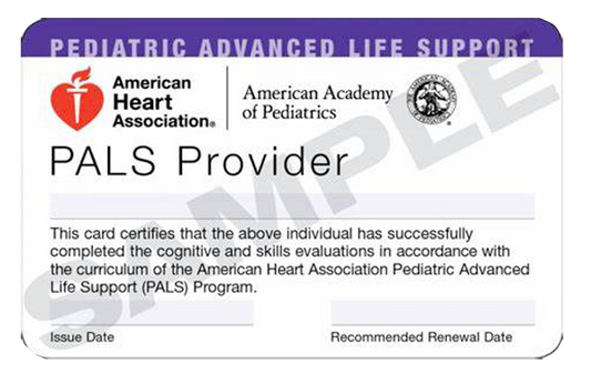 PALS Pediatric Advanced Life Support