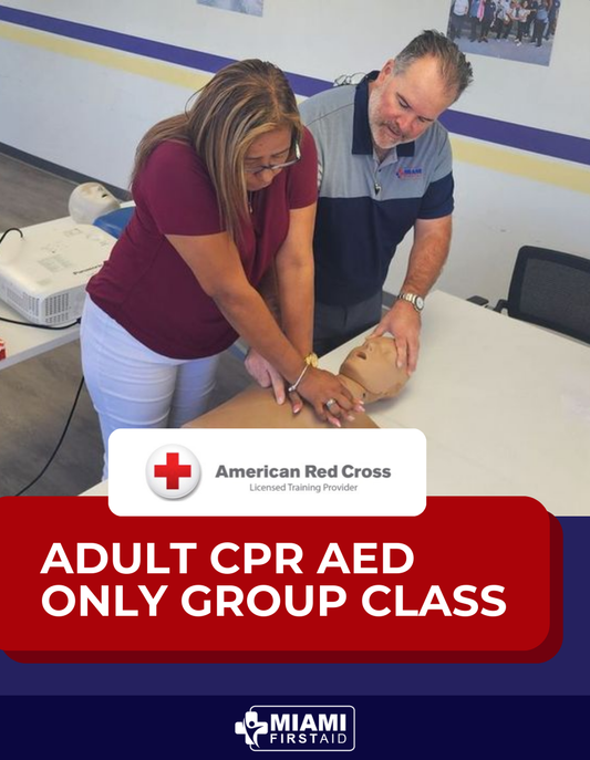 Private Lesson - Custom Class Red Cross Blended CPR AED ADULT